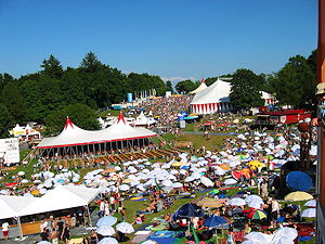 View over Gurtenfestival 2003