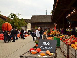 Pumpkin exhibition at the Jucker Farmart in Aathal-Seegraeben (Switzerland) (© Roland Fischer, CC BY-SA 3.0)