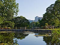 The aquatic plants pond at Atlanta Botanical Garden (&copy; verygreen, CC-BY-SA-3.0).