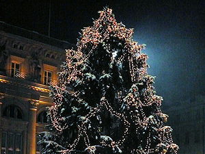 The Christmas Tree at Bundesplatz, Bern, Switzerland