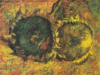 van Gogh's Sunflowers at Bern's Kunstmuseum