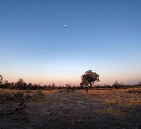 Sunset at the Ngamiland East in Botswana