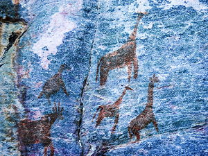 Rock art animals at Tsodilo Hills in Botswana