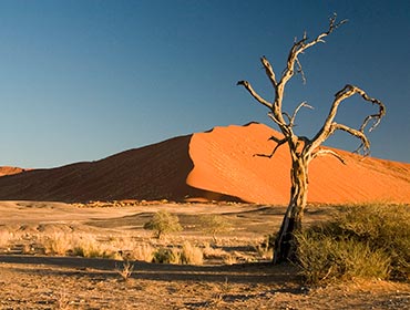 Namib desert, Namibia (© Luca Galuzzi, CC-BY-ASA-3.0)