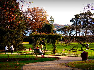 People enjoying the atmosphere at the Botanical Garden in Geneva