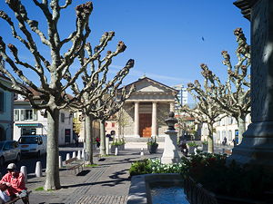 Carouge is a municipality in the Canton of Geneva