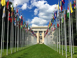 United Nations Member States' flags raised at the Palace of Nations