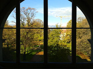 View of the Parc des Bastions through a window of the University of Geneva