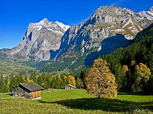 Typical Bernese Oberland countryside