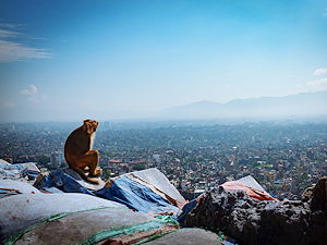 View of Kathmandu taken from Swayambhunath temple