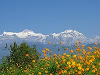 The lush pastures of the Annapurna Valley.
