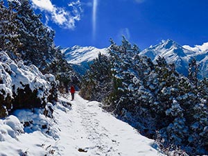 Langtang National Park