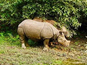 Chitwan National Park
