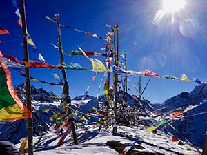 Prayer flags in Langtang National Park
