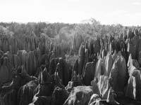 Tsingy Stone Forest (© Olivier Lejade, CC-BY-ASA-3.0)