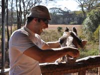 Feeding giragges at the Langata Giraffe Sanctuary (© Jorge Láscar, CC-BY-ASA-2.0)