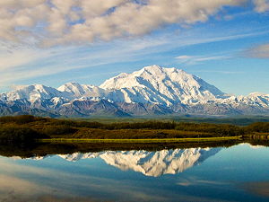 Denali seen from the north, with a beautiful reflection on the pond in the foreground
