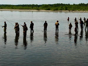 People combat fishing for a king salmon near Talkeetna at Montana Creek (© Frank Kovalchek, CC BY 2.0)