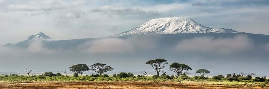 The panorama of Mount Kilimanjaro (© Sergey Pesterev, CC-BY-ASA-4.0).