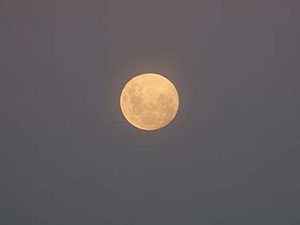 The Full Moon Party is a Zanzibar institution