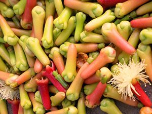 The Mrembo Spa in Stone Town