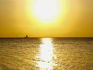 The sun setting on the horizon