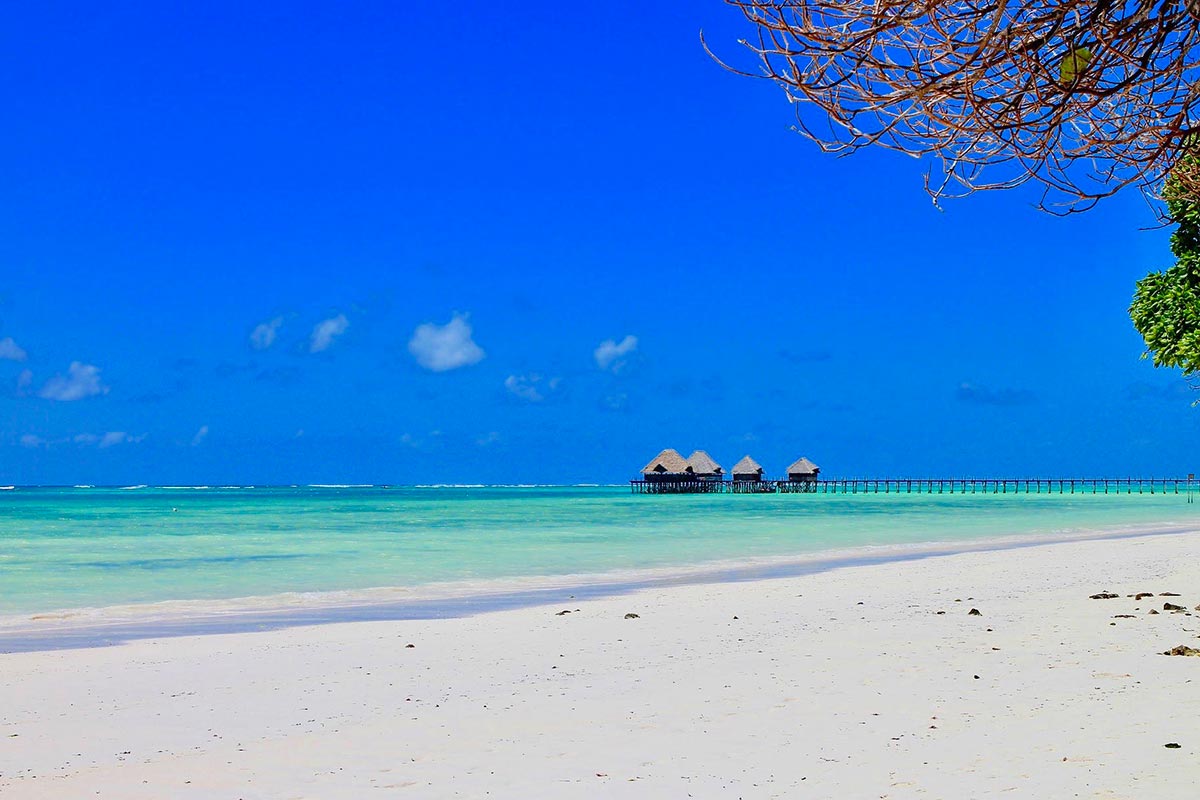 8 best things to do in Zanzibar visit Zanzibar attractions
